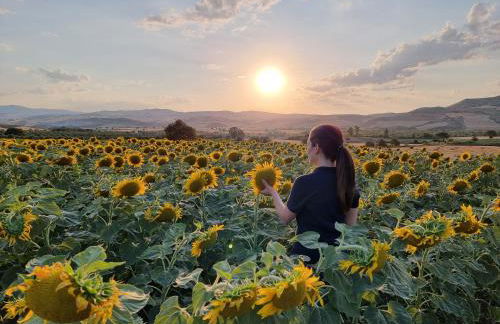 Agriturismo Essentia dimora rurale - Foto 91