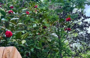 Creatives Retreat for Artists & Lovers - Foto 26