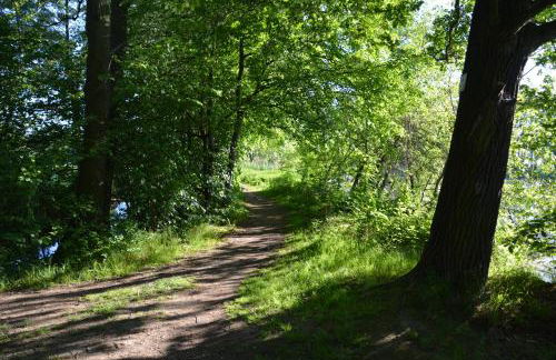 Ferienappartements "Landromantik" - Foto 51