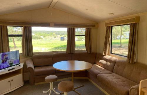 Holenderki na Zielonych Wzgórzach, Łowyń - Foto 38