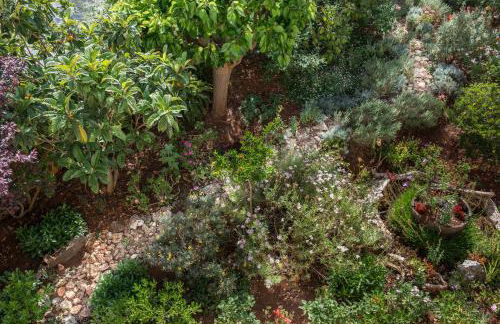 Villa Eleonas - Foto 45