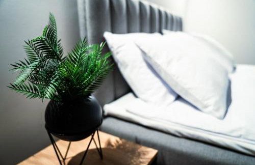 Apartamenty I SORAU Old Town - Foto 9