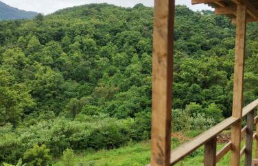 Bangalô dos Araçás - sítio Vô Haack - Foto 12