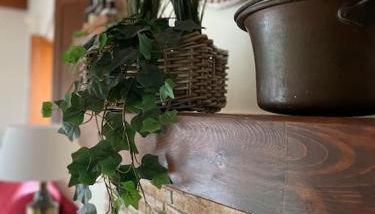 Tenuta Agave - Photo 4