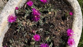 Appart chocolat chaud 4 pièces-90m² 7 personnes - Foto 2