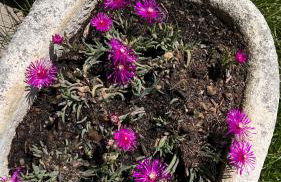 Appart chocolat chaud 4 pièces-90m² 7 personnes - Foto 2