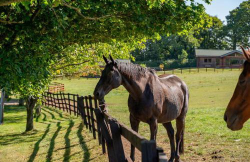 Hunters Lodge - Photo 25