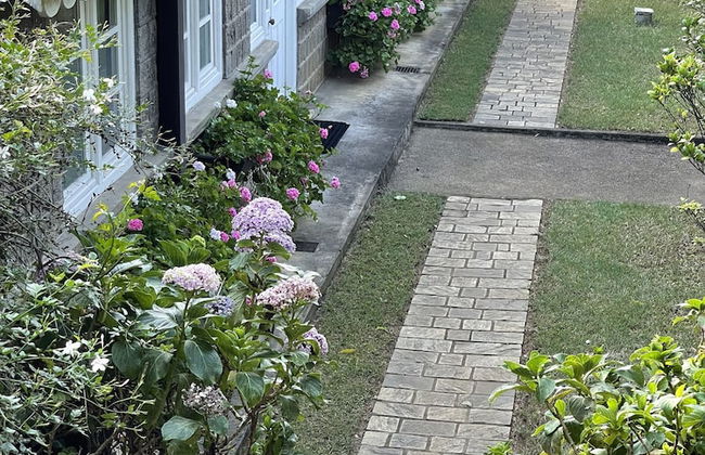 The Blossoms - Photo 40