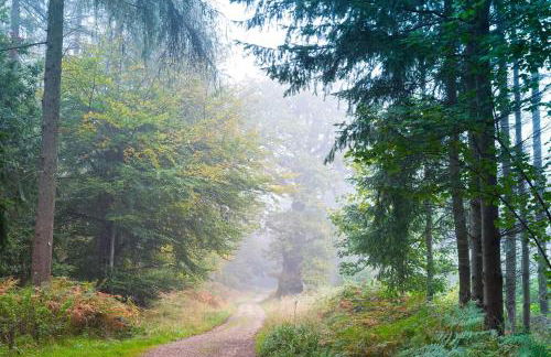 Stable Cottage - Milton Lilbourne - Foto 13