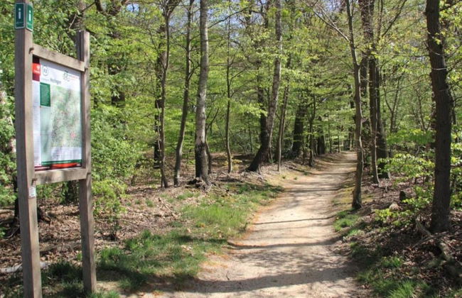 Chalet in Ootmarsum on Kuiperberg - Foto 34