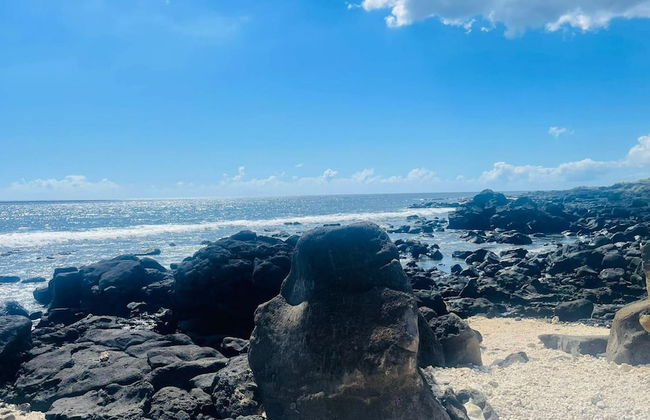 Spacious 4-bed Villa in Flic en Flac Roof top bar - Photo 34