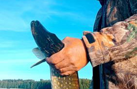 Ostoja nad Gilem - Foto 29