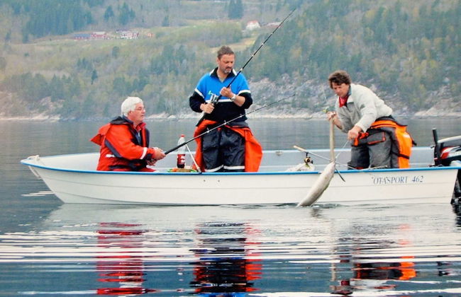 Holiday Home in EidsvÃ¥g - Foto 34