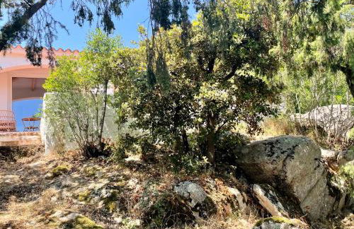 Villa La Petra - Foto 37