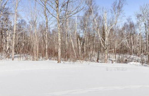 Indoor Sauna FIrePlace Garage Wifi Smart TV - Foto 14