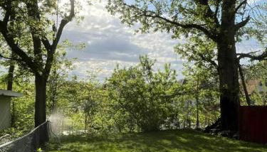 New 1890 Craftsman Home 5BR 4BA - Foto 3, Garden, Garden view