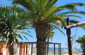 Pomposa Grand Premium sea view apartment - Foto 12