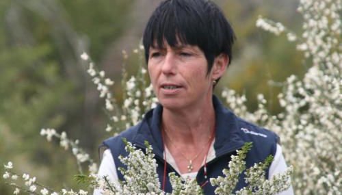 Quinta das Delicias - Foto 5