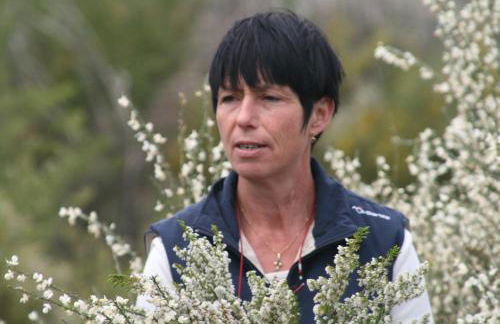 Quinta das Delicias - Foto 5