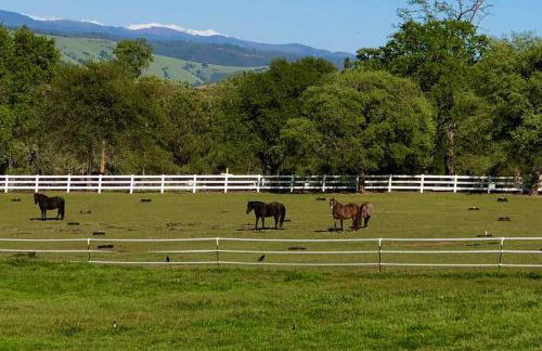 Amazing Loft on Horse Ranch - Foto 5