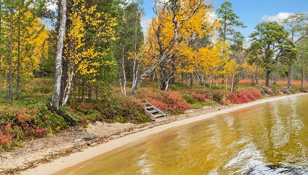 Peurakumpu - Foto 4, Inside other