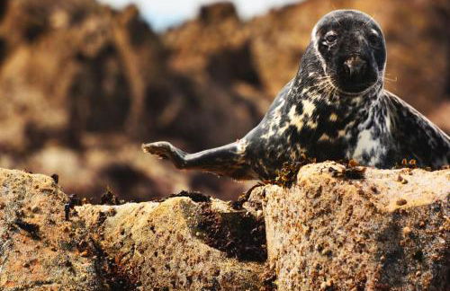 Steredennvor - Foto 25