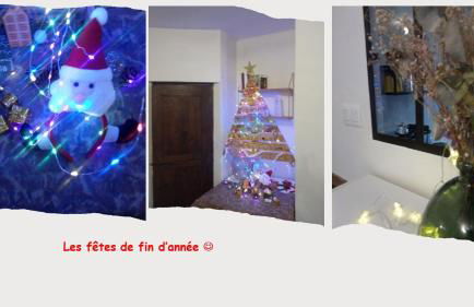 Villa Les oliviers - Foto 54