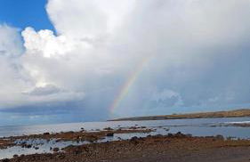 Coffee apartamento, Las Galletas - Foto 28