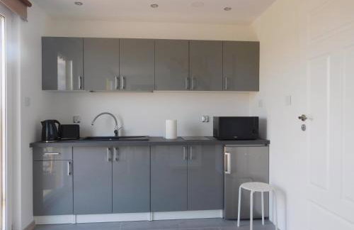 Detached Holiday Home in Horyniec-zdroj With Sauna - Foto 45