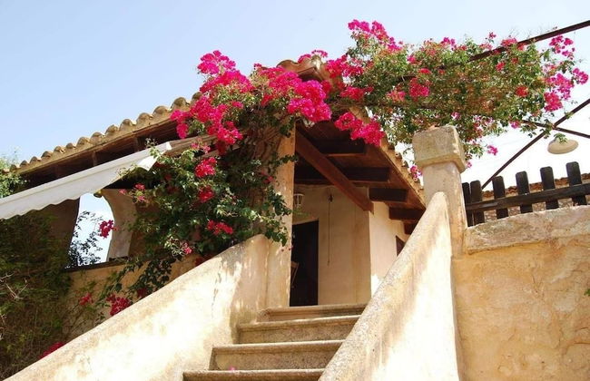 Finca Son Vivot - Photo 46