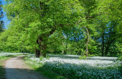 Fürstlich Wohnen am Circus mit Blick zur Granitz - Photo 33