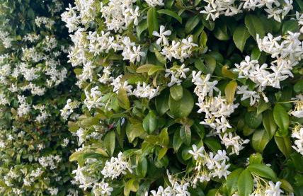 Agriturismo IL VIAIO - Foto 83