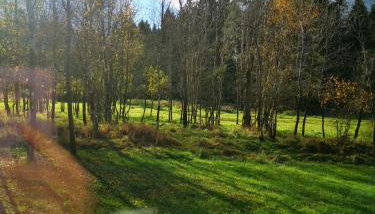 FreeDom House - Foto 3