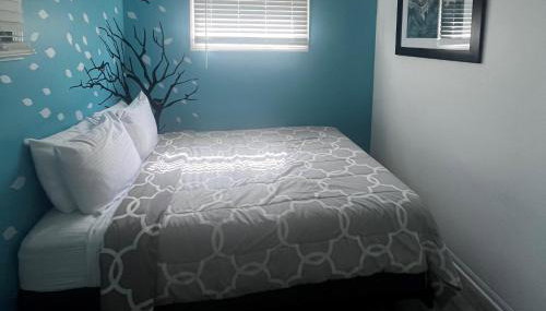 The Dragonfly - Foto 2