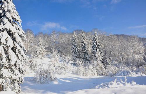 Gite châlet nature haute vosges - Foto 47