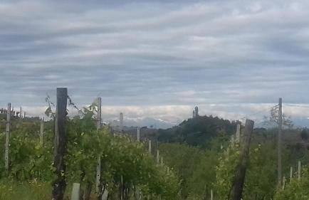 Cà D' Rot - Casa Ratti - Foto 28