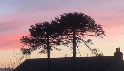 Cosy 3 Bed Cottage near 3 Peaks - Log Burner & Aga - Foto 3