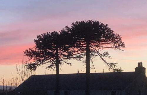 Cosy 3 Bed Cottage near 3 Peaks - Log Burner & Aga - Foto 3