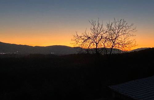 Le Magnolie Paliano appartamento 120 mq - Foto 35