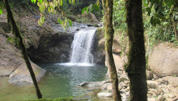 Santo Domingo de Los Tsachilas Day Trip - Foto 2