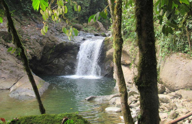Santo Domingo de Los Tsachilas Day Trip - Photo 2