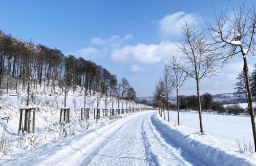 Apartment in Twistetal Oberwaroldern - Photo 76