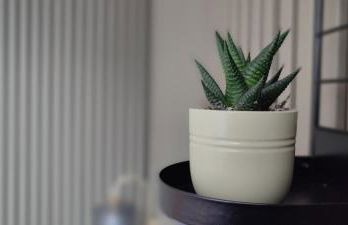 Studio rénové Nancy Brabois, proche CHRU campus - Foto 20