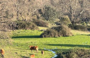 Apartamentos LA CASONA DE JARAIZ - Foto 40