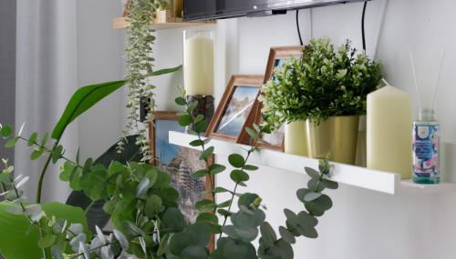 Apartamento Noguera Loft "D" - Photo 4