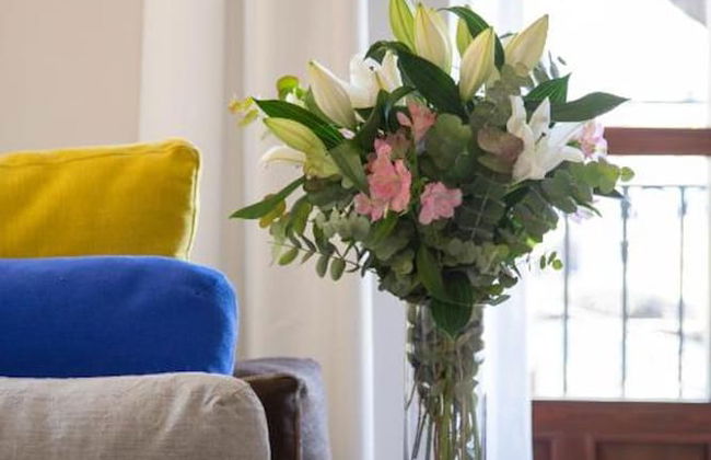 MYR Plaza Mercado & Spa - Foto 24