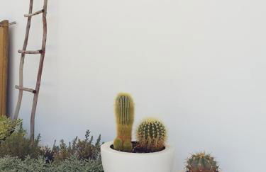 Square House . Comporta, Portugal - Foto 25