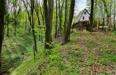 Leśny Zakątek - Foto 20