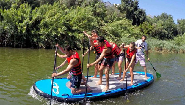 Diversión sobre la tabla