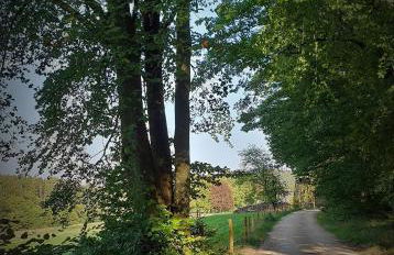 Familiehuis Dolve - Foto 59